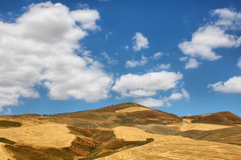 Rural landscape