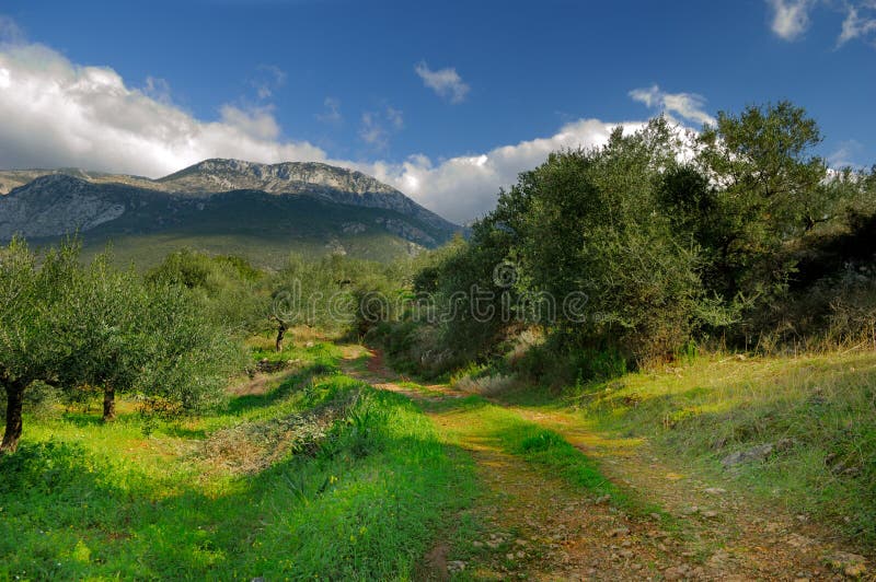 Rural landscape