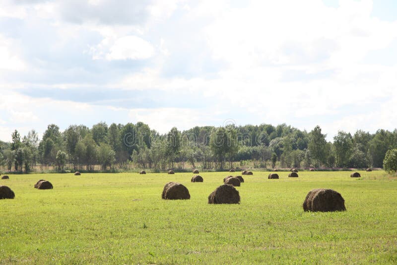 Rural landscape