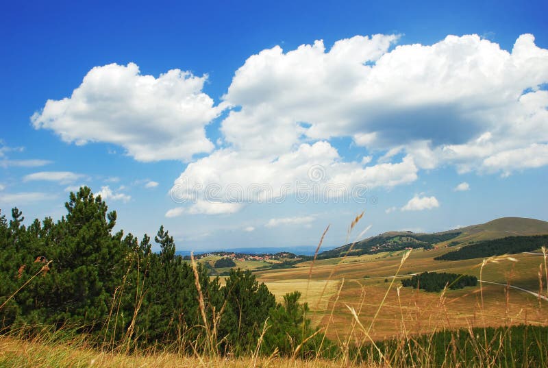 Rural landscape