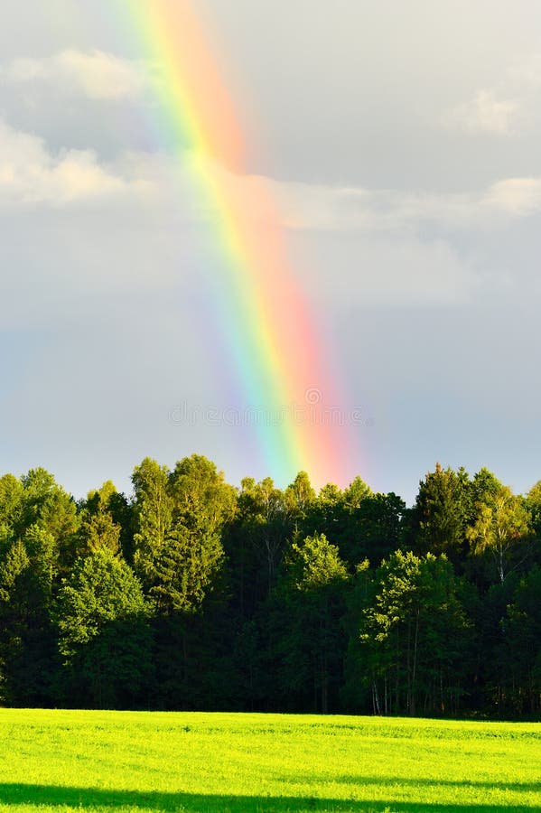 Rural landscape with beautiful rainbow after summer rainstorm over the forest.