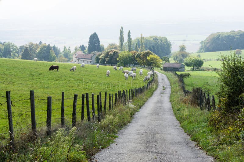 Rural landscape in France I