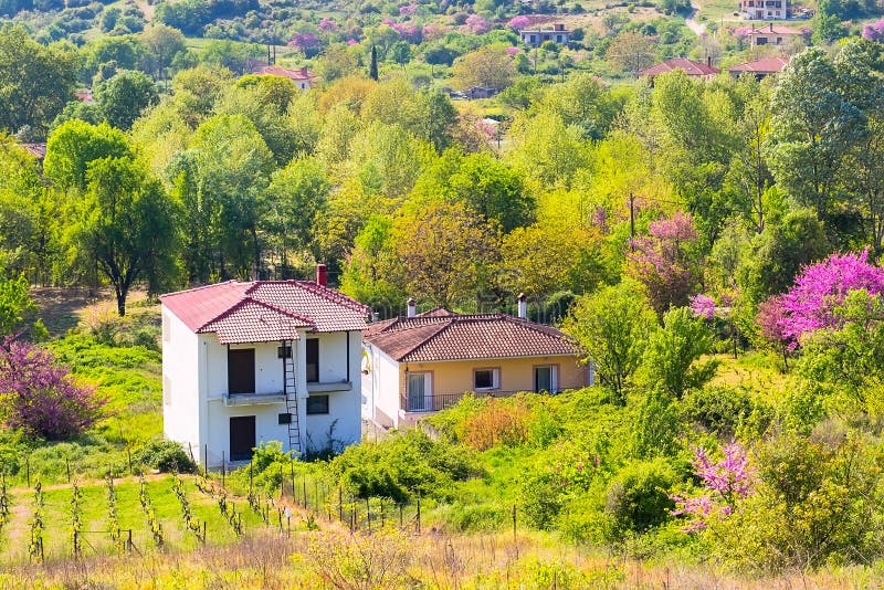 Rural landscape in Greece with farm and vineyards