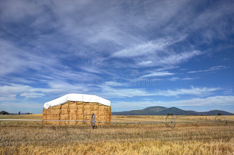 Rural landscape of haystack.