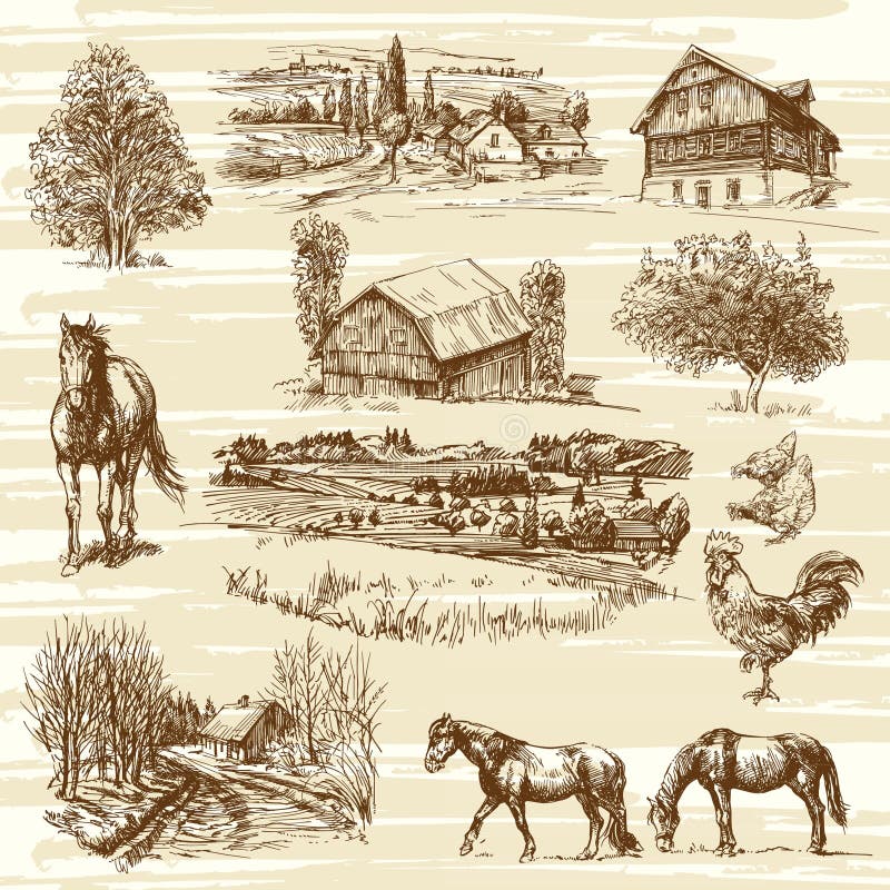 Set of rural landscape and houses