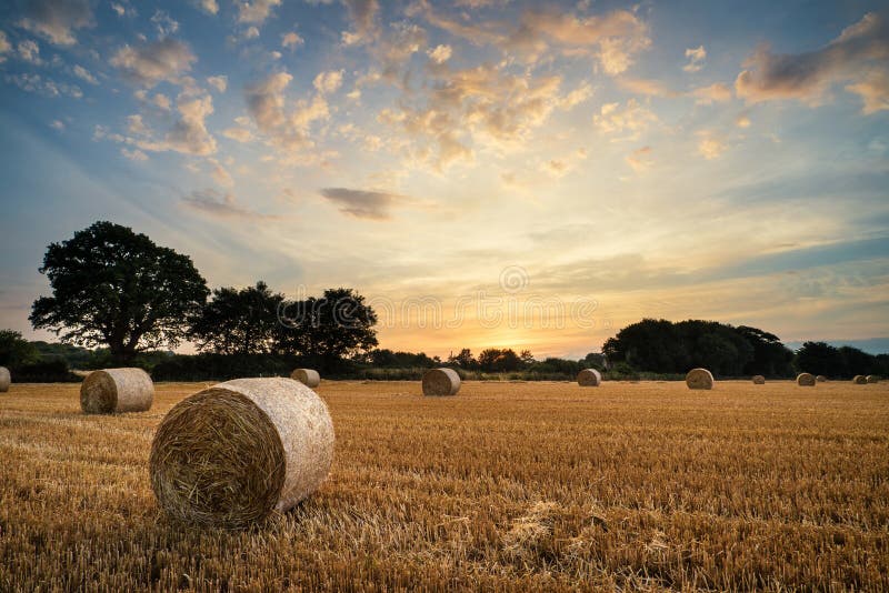 Rural landscape image of Summer sunset over field of hay bales