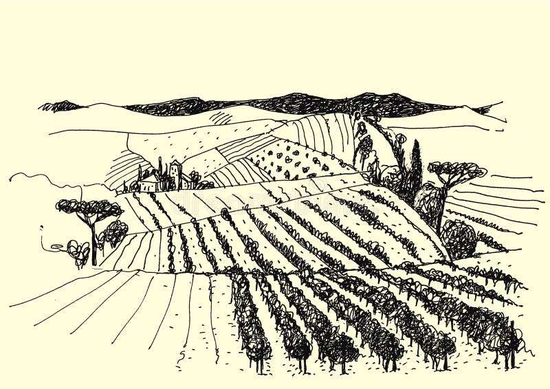 Rural Landscape Ink Pen Picture - Stock Illustration - Illustration of ...