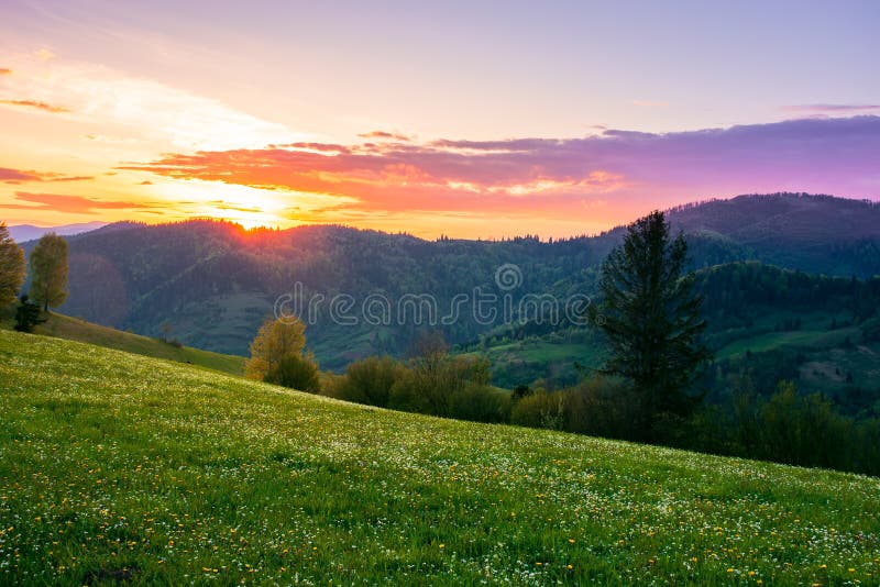 Rural Landscape in Mountains at Dusk Stock Photo - Image of scene ...