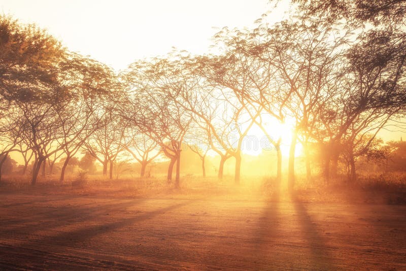 Rural landscape with shining sunset rays. Abstract nature