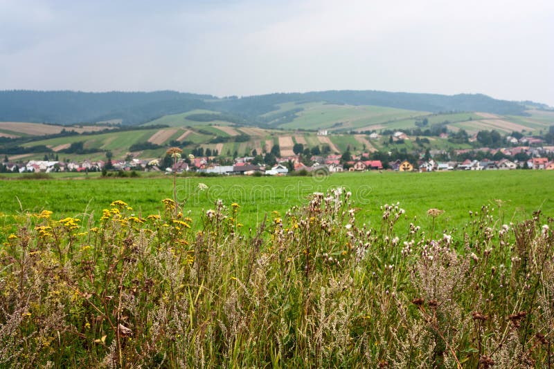 Rural landscape in the Slovakia against the background of mountains Western Carpathians