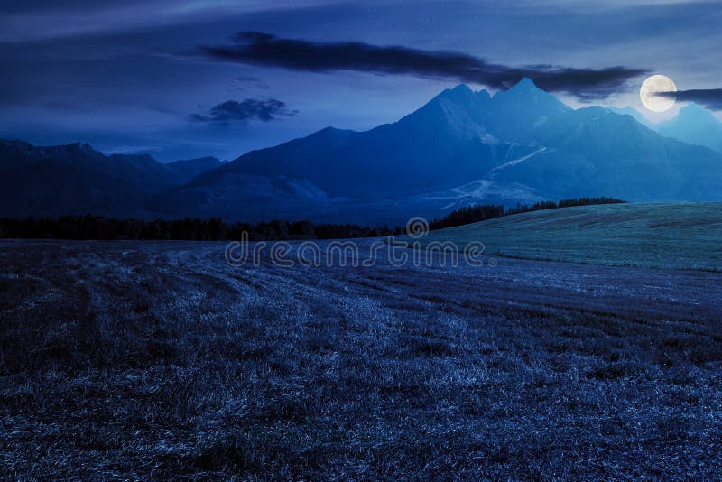 Rural landscape of slovakia in summer