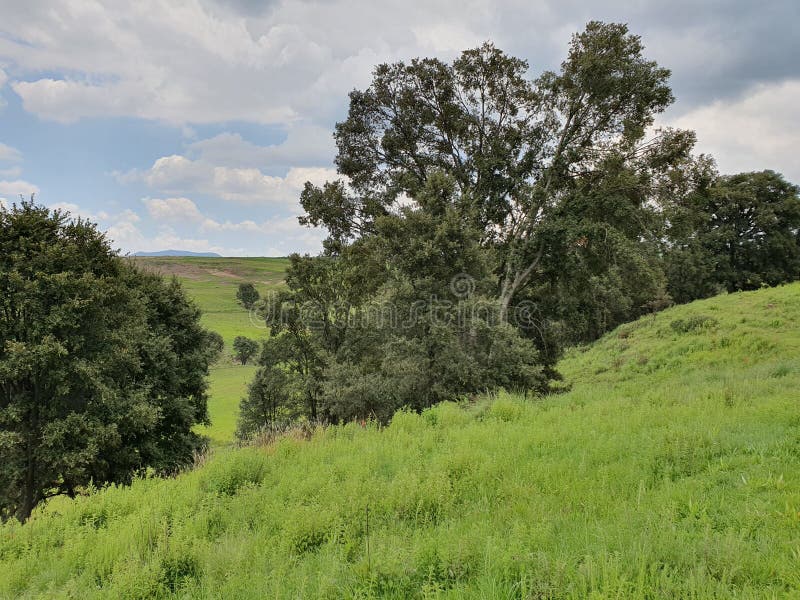 rural landscape in Temoaya fields in summer season