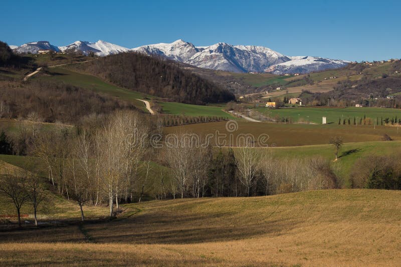 Rural Marche landscape with trees in winter