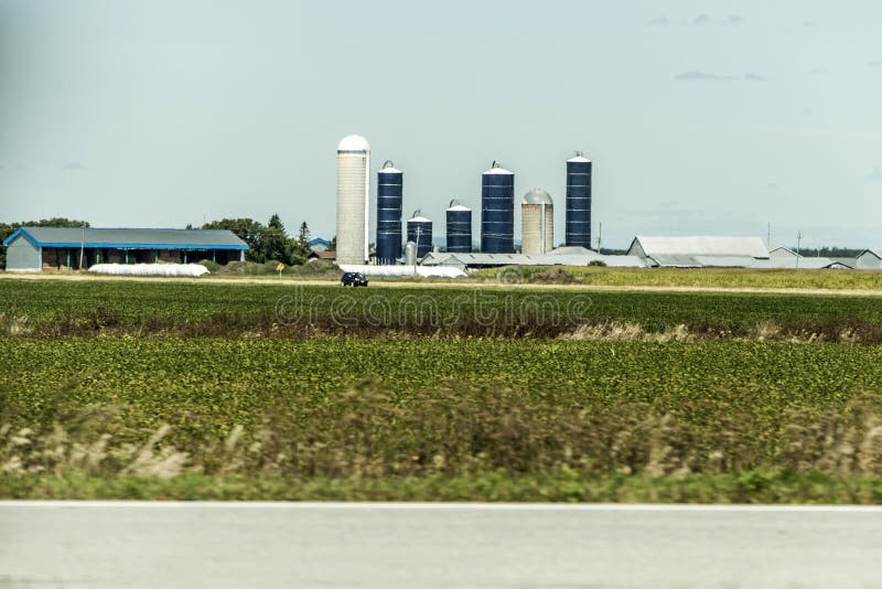 Rural Ontario Farm with Barn Silo storage agriculture animals Canada farming