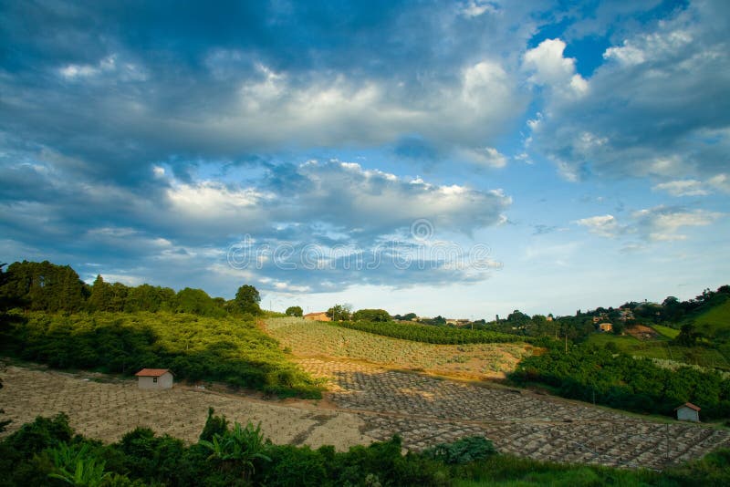 Fields in countryside royalty free stock photo Fields in countryside royalty free stock photo
