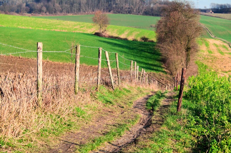 Rural path through the fields