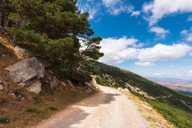 Rural pathway in moncayo mountain, Aragon region, Spain. Natural environment in summer season.