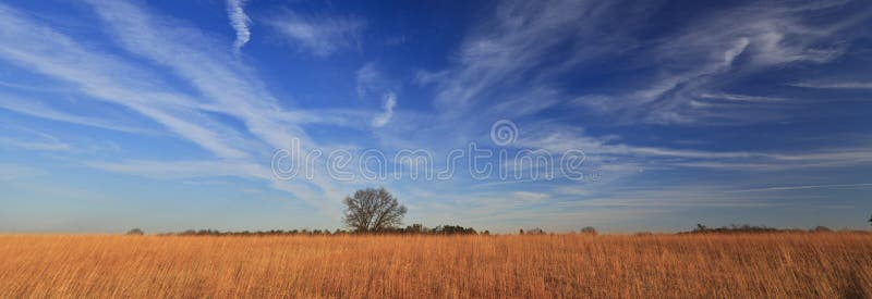 Rural peaceful scenery with deep blue sky