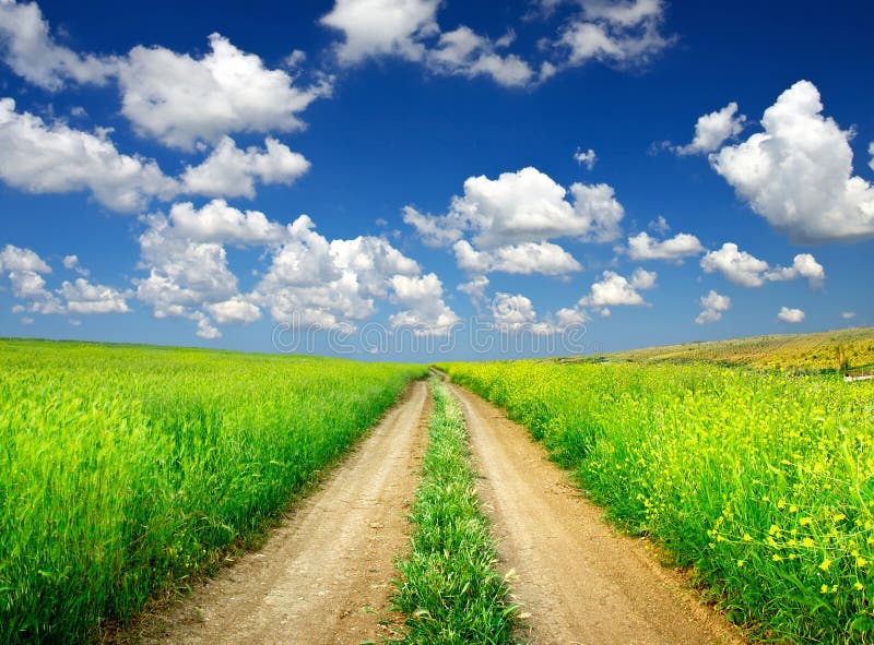 Rural Road Stock Photo Image Of Environment Pasture 27834042