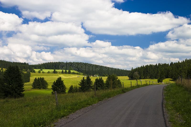 Rural road in the black forest