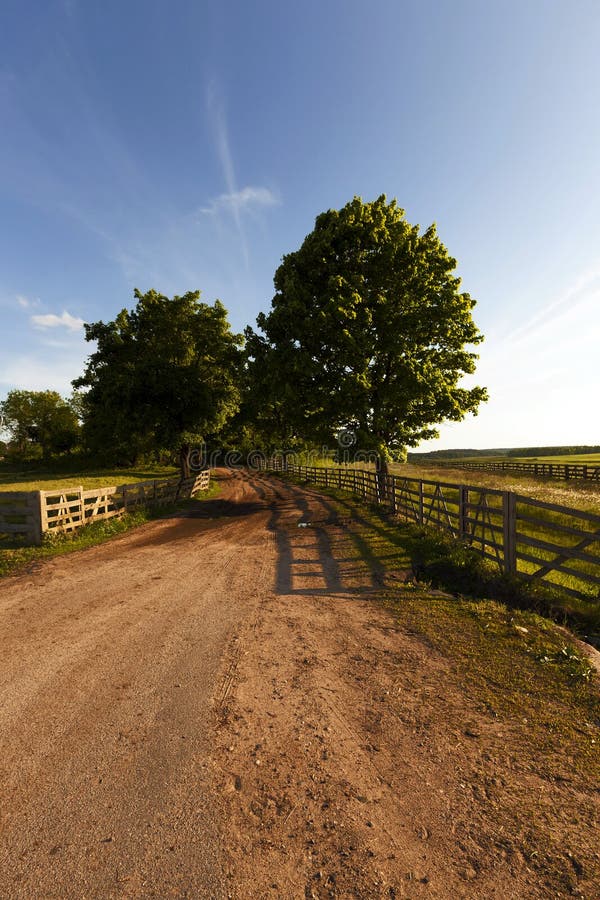 Rural road , fence