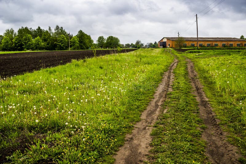 A rural road near the arable field stock photography