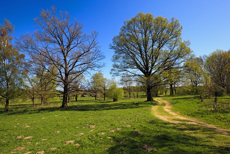 The rural road