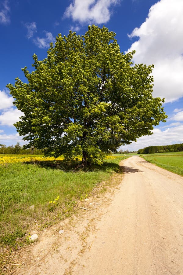 The rural road