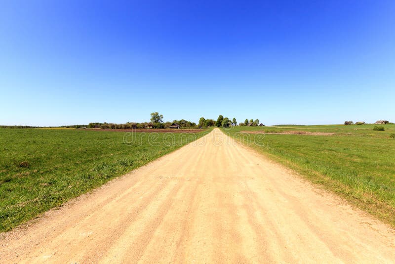 Rural road , spring