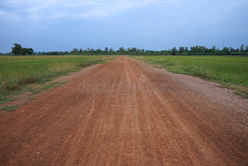 Rural Roads in the Countryside are Surrounded by Fields Stock Image Image of nature, roadside