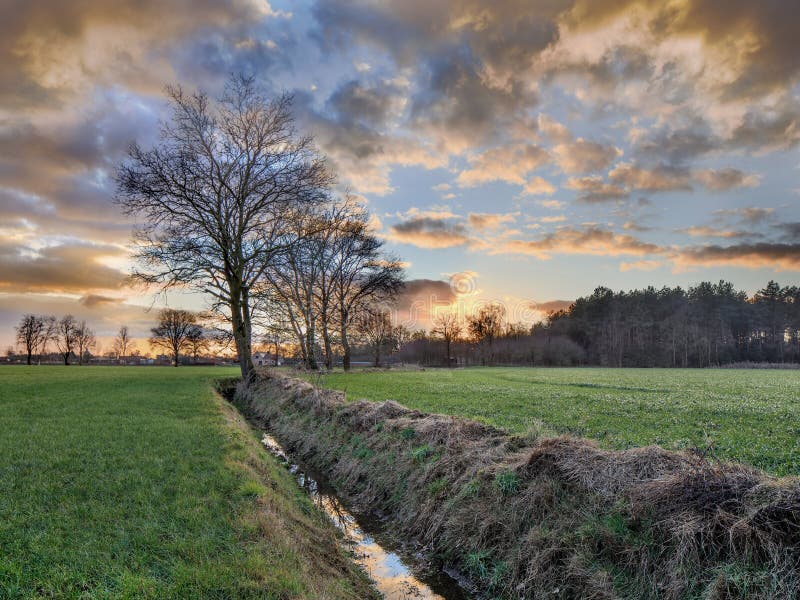 Rural scenery, field with trees near a ditch and colorful sunset with dramatic clouds, Weelde, Belgium stock images Rural scenery, field with trees near a ditch and colorful sunset with dramatic clouds, Weelde, Belgium stock images