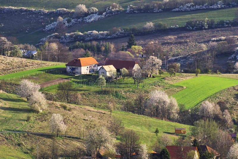 Venkovské osídlení a rozkvetlé třešně v Ostrozkých horách