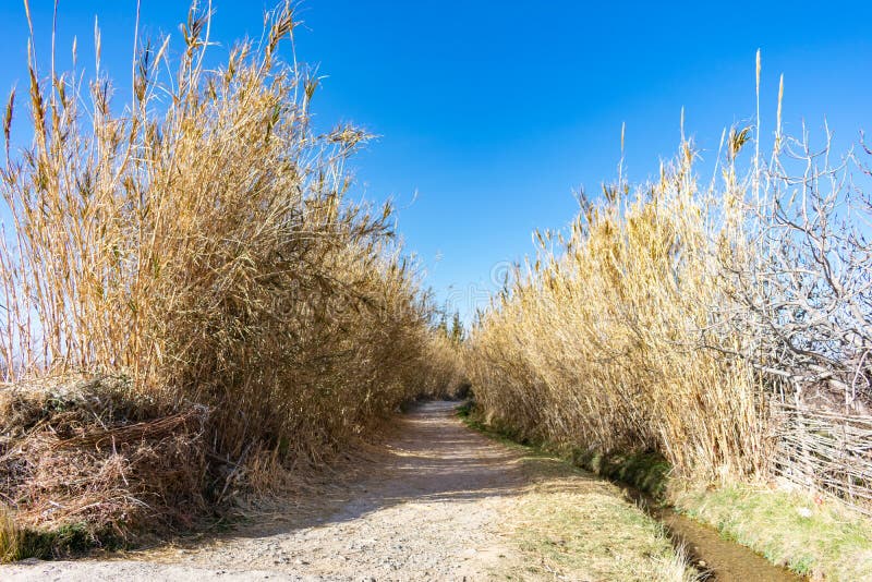 Rural Shaded Path in Midelt Morocco stock photo Rural Shaded Path in Midelt Morocco stock photo