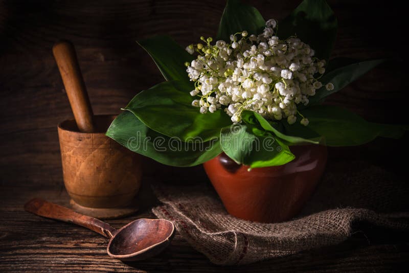 Rural still life with lilies of the valley on wooden background