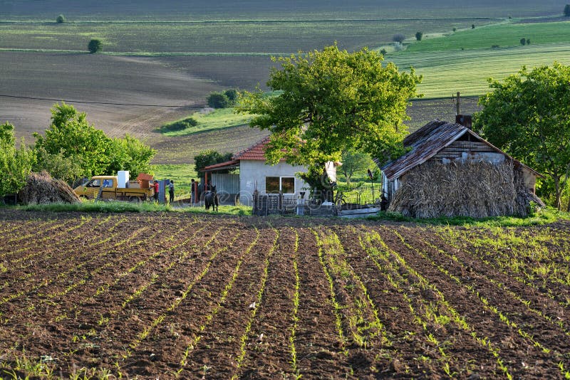 Rural view in Macin mountains area, Romania