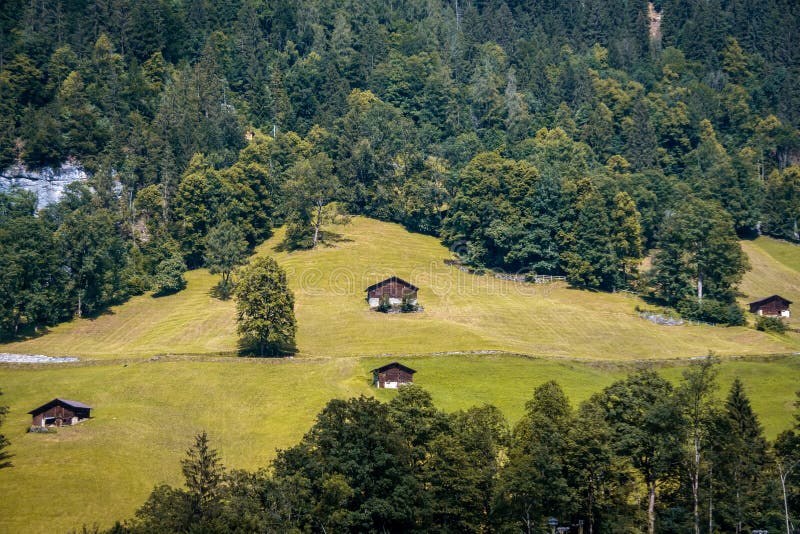 Rural View with Old Style Barns at the Meadow in Switzerland Stock