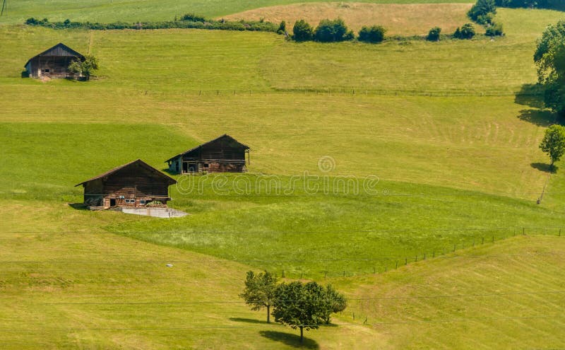Rural View With Old Style Barns At The Meadow In Switzerland Stock Photo Image Of Cows Alps 