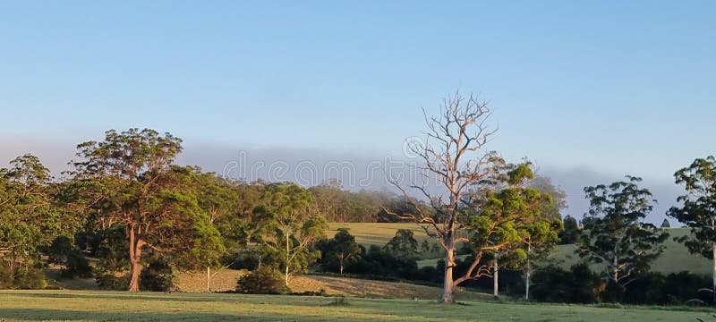 Rural view stunning afternoon nsw Australia royalty free stock image