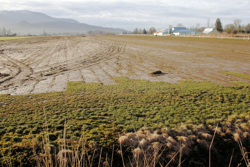 Rural Washington State stock photo. Image of farming 37793728