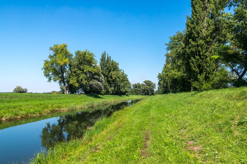 Rural water canal in forest