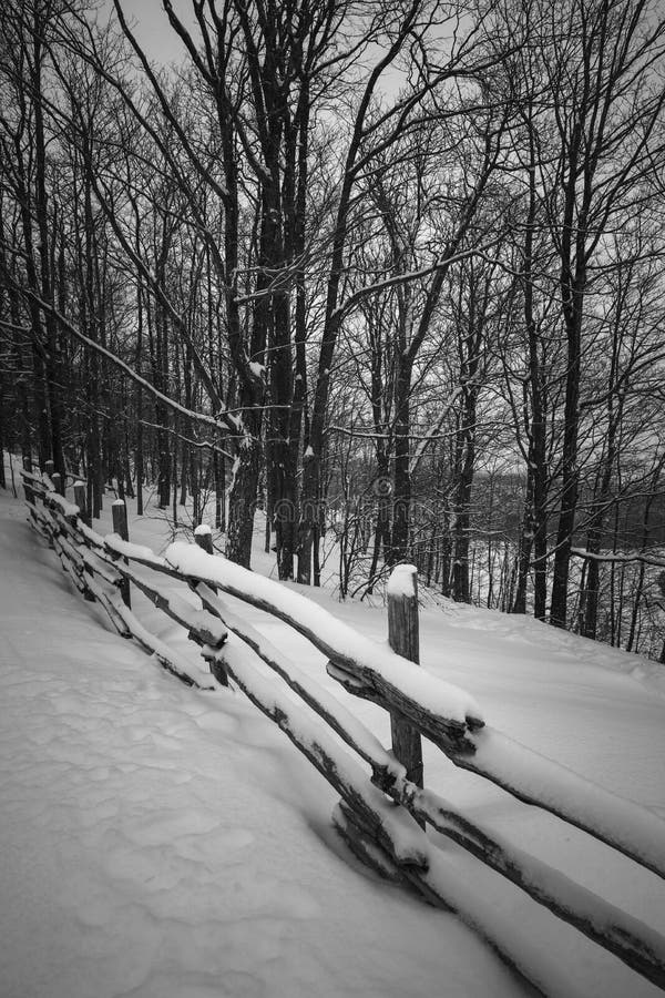 Winter landscape with snow falling on rural fence and snowy trees in black and white. Winter landscape with snow falling on rural fence and snowy trees in black and white