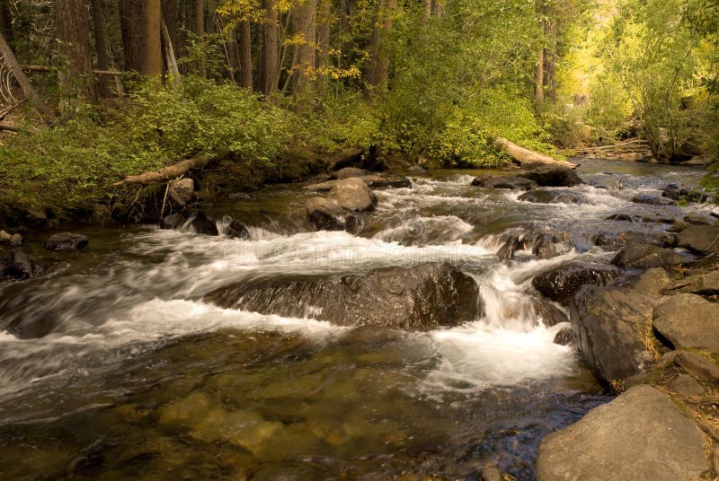 Rushing Creek