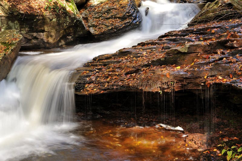 Rushing creek - autumn