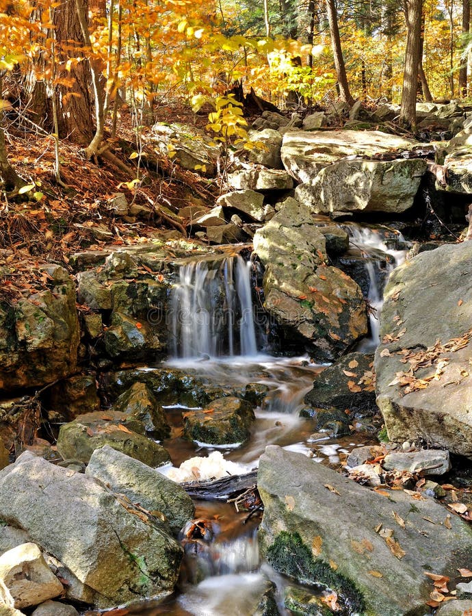 Rushing creek - autumn