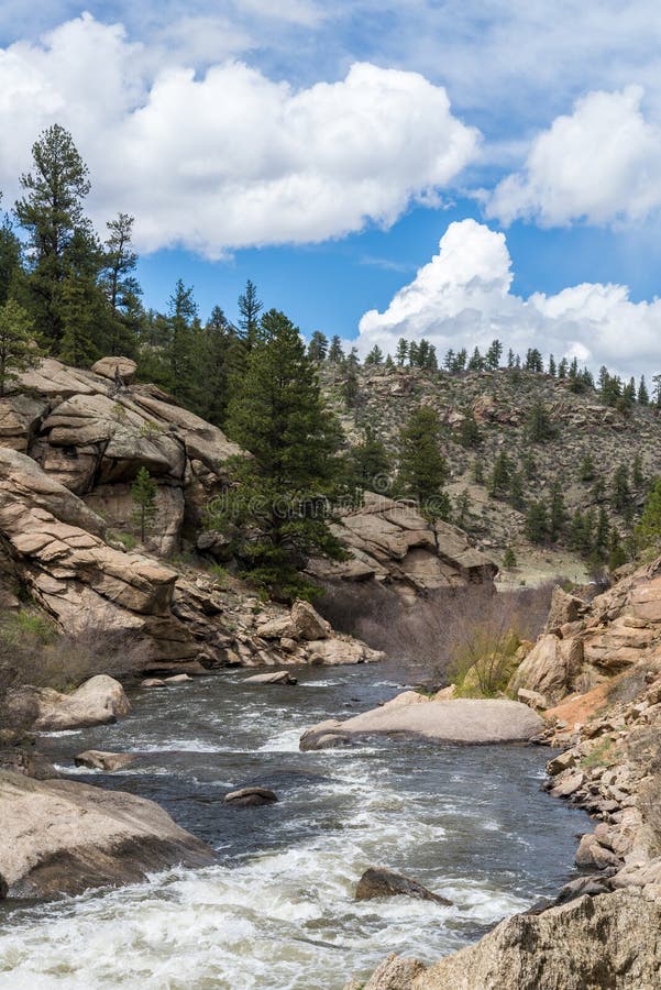 Rushing stream river water through Eleven Mile Canyon Colorado