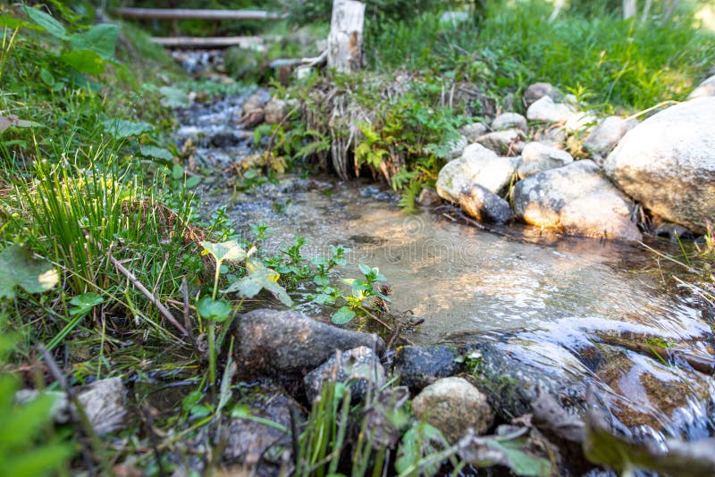 Zurčiaci prúd vody v lese v Tatrách, Slovensko