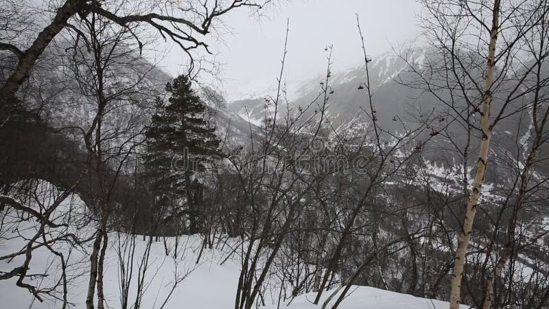 Rusia, república de Ossetia del norte, Alania Nevada del invierno de la película en las montañas del Cáucaso central almacen de video Rusia, república de Ossetia del norte, Alania Nevada del invierno de la película en las montañas del Cáucaso central almacen de video
