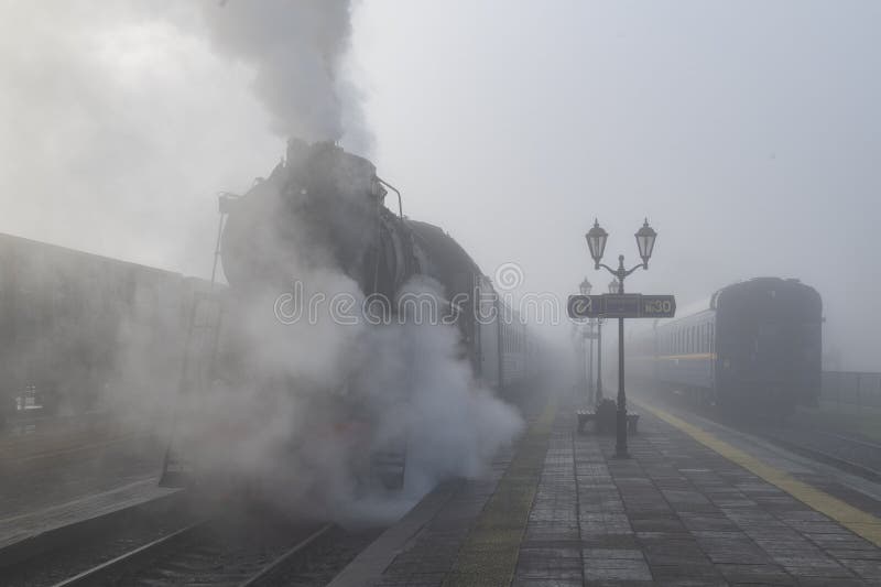Ruskeala express alla stazione di sortavala in una nebbia mattinata di ottobre immagini stock libere da diritti