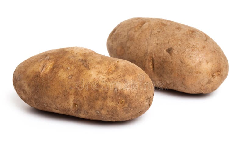 Russet Potato