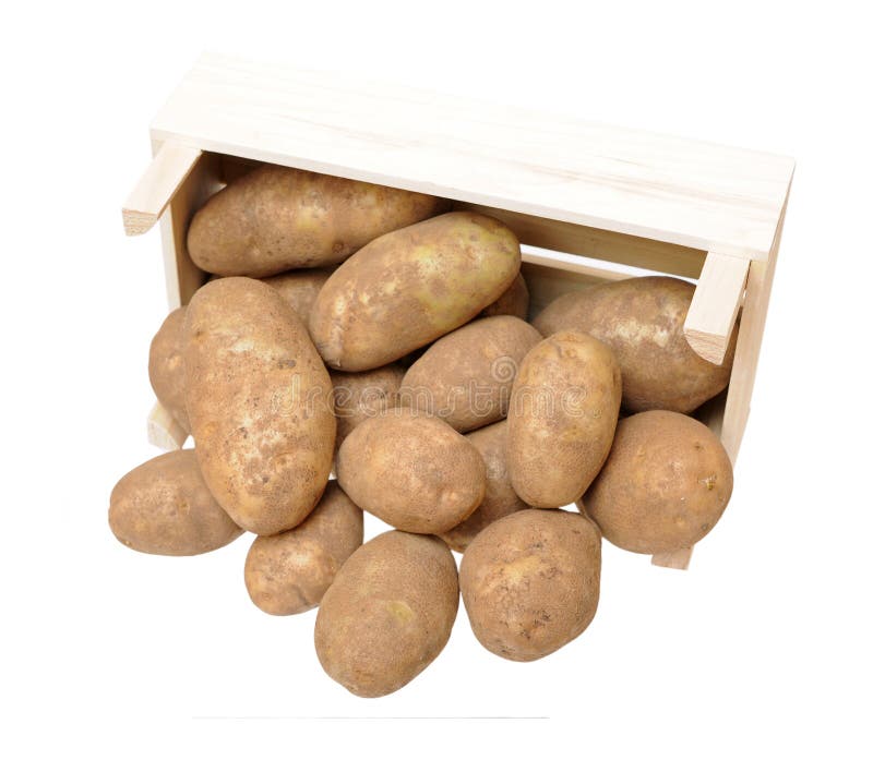 Russet potato stock photo. Image of case, food, healthy 33423742